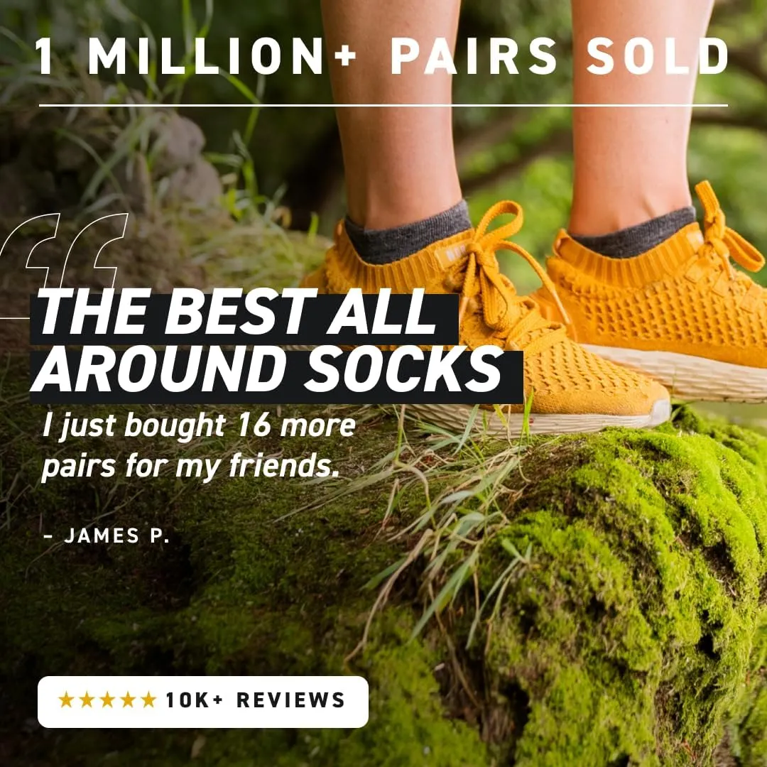 Alpaca No Show Socks for Men and Women, 2 Pack, Moisture Wicking Alpaca Socks for Hiking, Running, Outdoors, Any Season No Show Sock, Temperature Regulating, Light Compression, Medium, Black