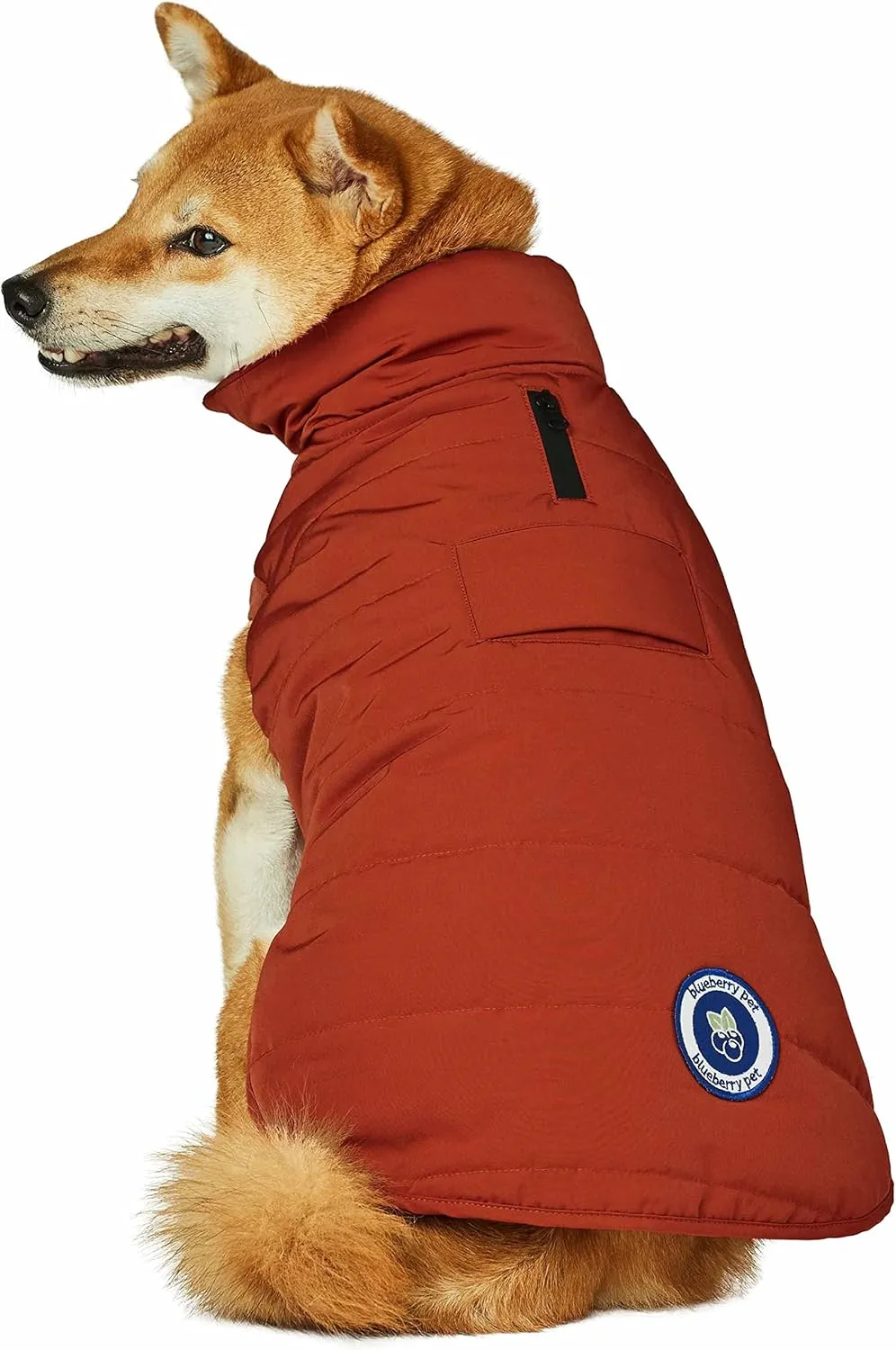 Blueberry Pet Dog Winter Coat - Cozy Quilted Rusty Orange Puffer Jacket, Windproof & Waterproof, Warm Dog Jacket for Small Dogs - 13 3/4" Back Length, Medium Dog Coat, Stylish Winter Gear