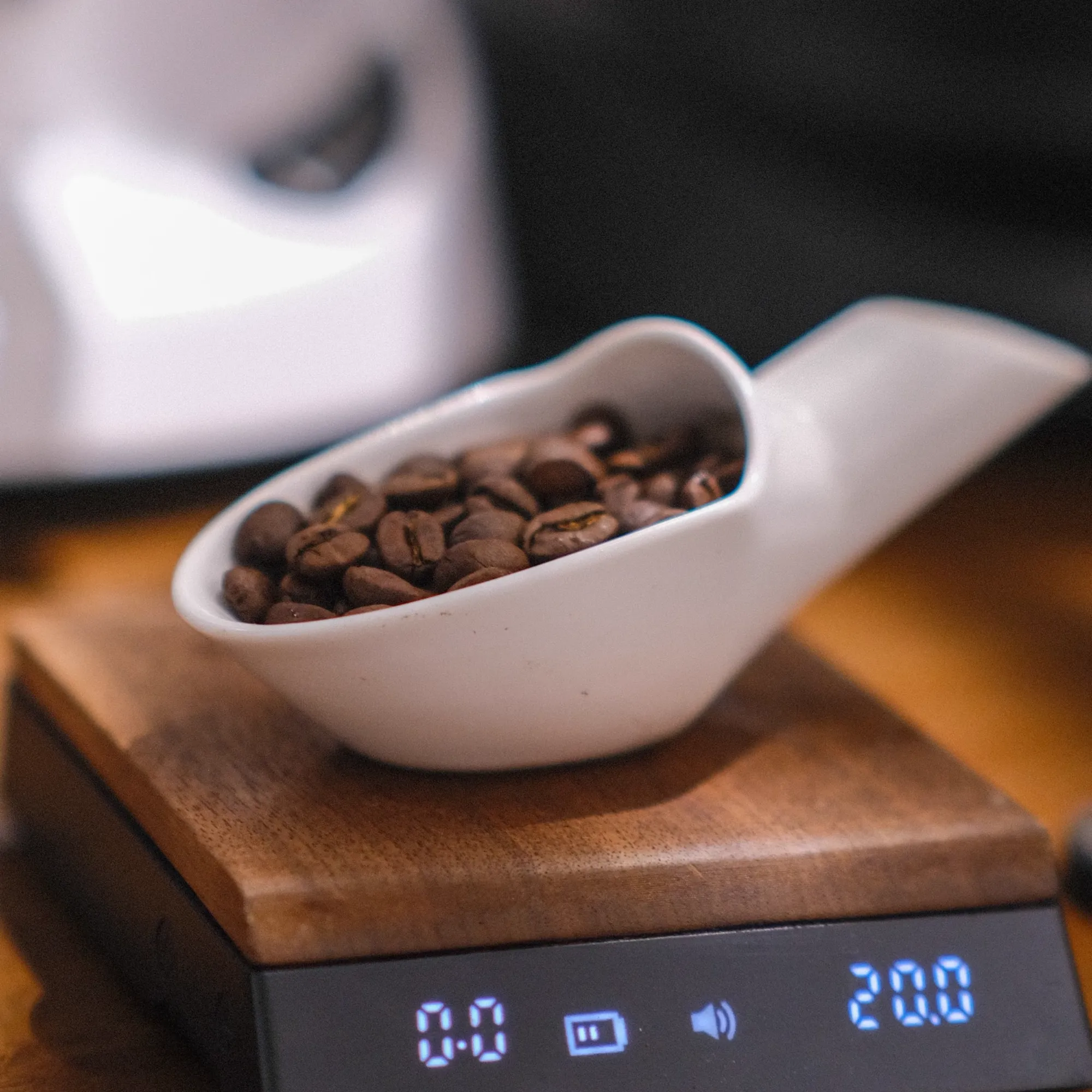Ceramic Coffee Shovel