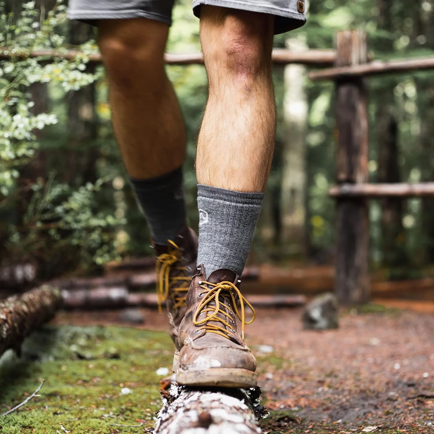 CloudLine Men’s and Women’s Merino Wool Hiking Socks - Cushioned, Warm, Anti-Blister, Moisture Wicking, Made in USA - 3 Pairs