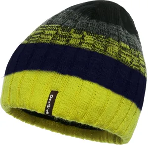 DexShell Men's Beanie