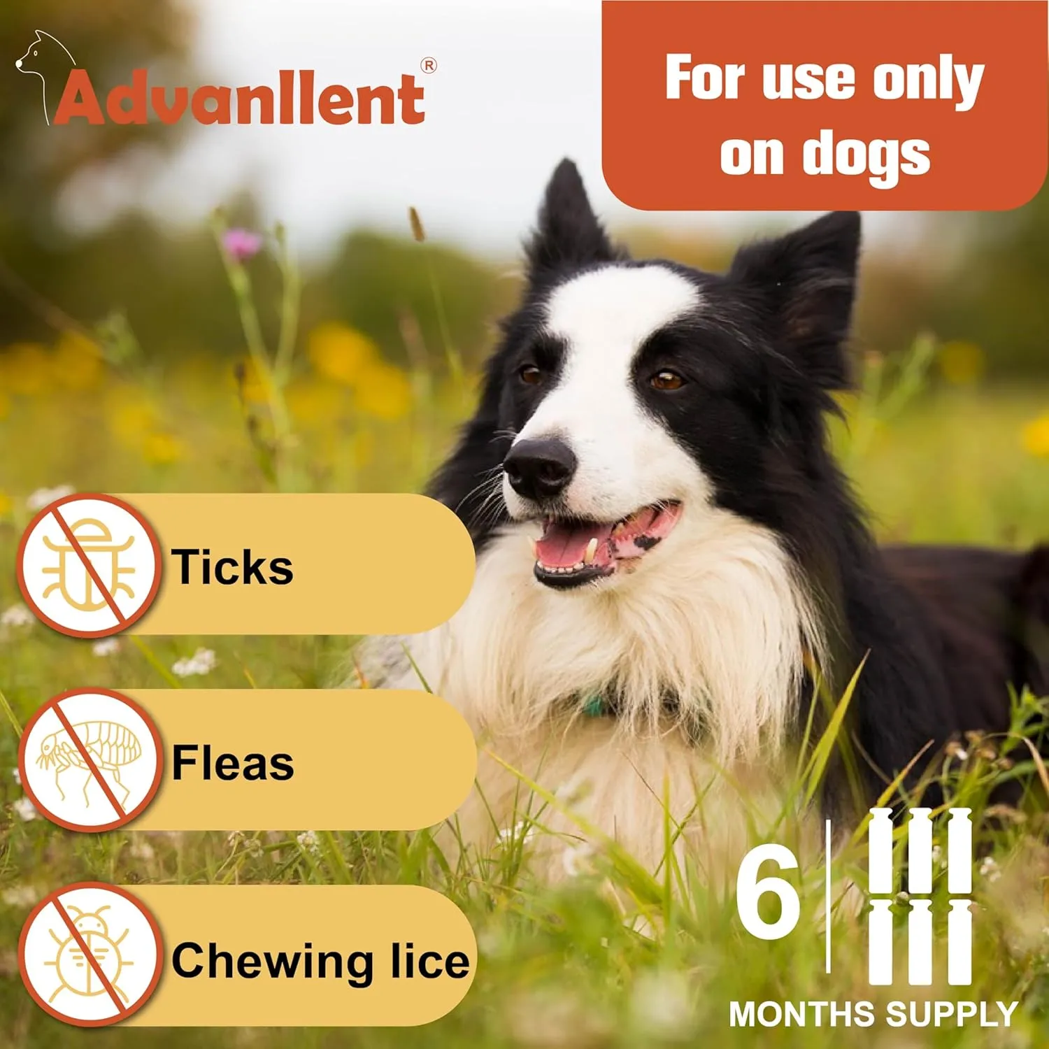Flea and Tick Prevention for Dogs, Flea and Tick Treatment for Large Dog, Flea & Tick Control, 45-88 Pounds, 6 Doses