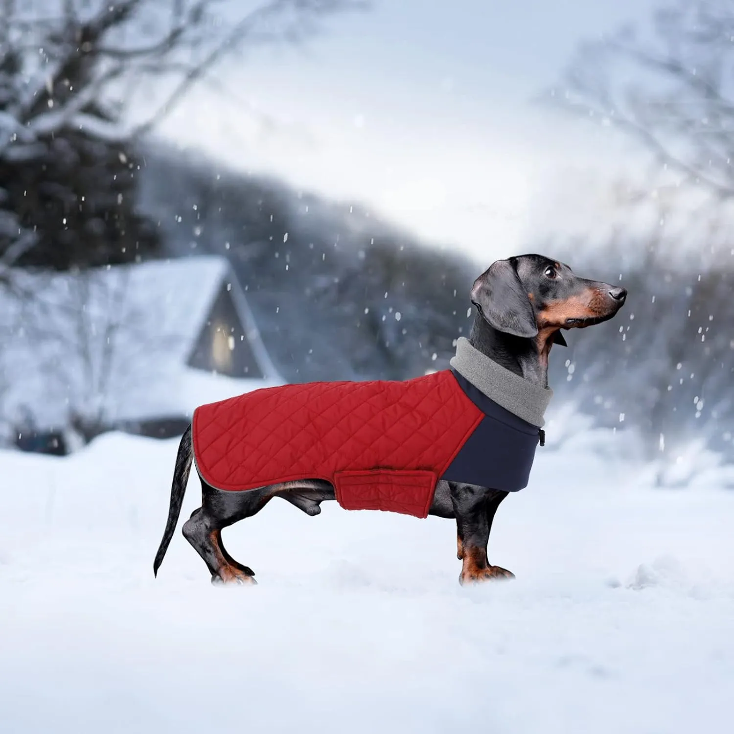 Geyecete Dachshund Coat,Dachshund Winter Coat,Warm Waterproof Windproof, High Neckine String Holes Miniature Dachshund Jacket for Small Dog-Red-S