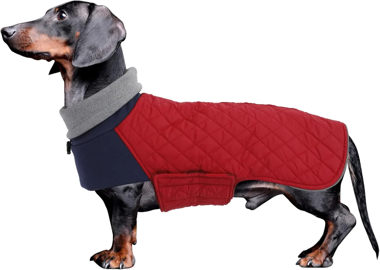 Geyecete Dachshund Coat,Dachshund Winter Coat,Warm Waterproof Windproof, High Neckine String Holes Miniature Dachshund Jacket for Small Dog-Red-S