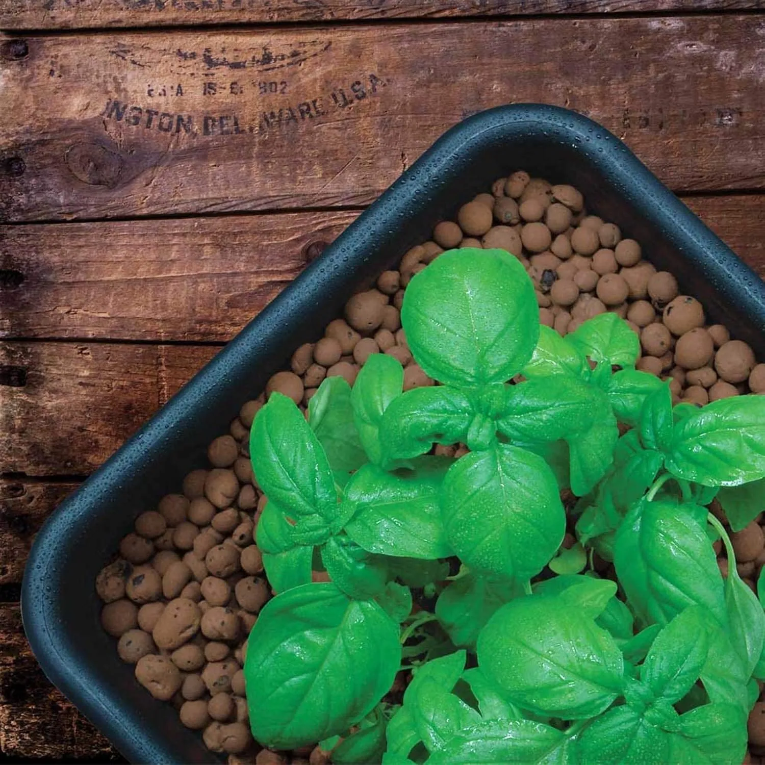 GROW!T GMC10L - 4mm-16mm Clay Pebbles, Brown, (10 Liter Bag) - Made from 100% Natural Clay, Can be used for Drainage, Decoration, Aquaponics, Hydroponics and Other Gardening Essentials