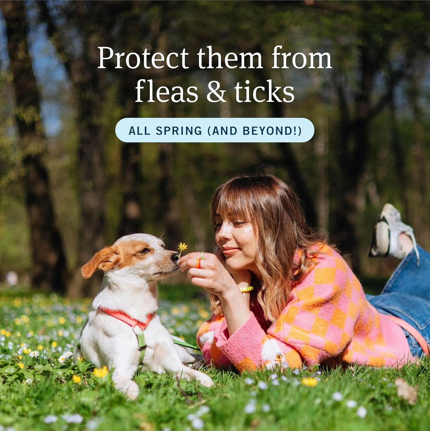 PetArmor Plus Flea and Tick Prevention for Dogs, Dog Flea and Tick Treatment, 3 Doses, Waterproof Topical, Fast Acting, Small Dogs (5-22 lbs)