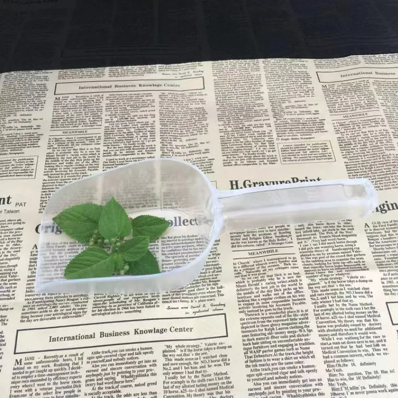 Plastic Transparent Ice Scoop Rice Spoon PC Material Ice Scraper Large Size for Supermarket and Bar
