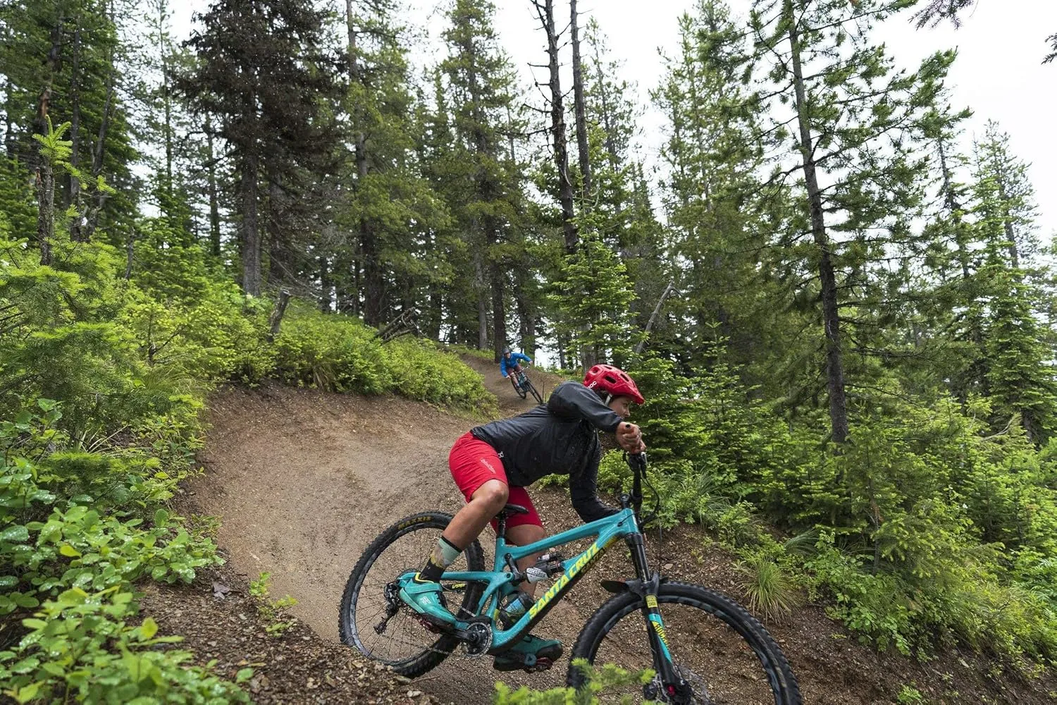 Swiftwick VISION IMPRESSION Crew, National Parks Edition, Running, Hiking and Cycling Socks