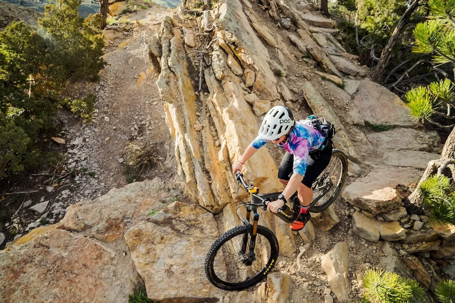 Swiftwick VISION IMPRESSION Crew, National Parks Edition, Running, Hiking and Cycling Socks