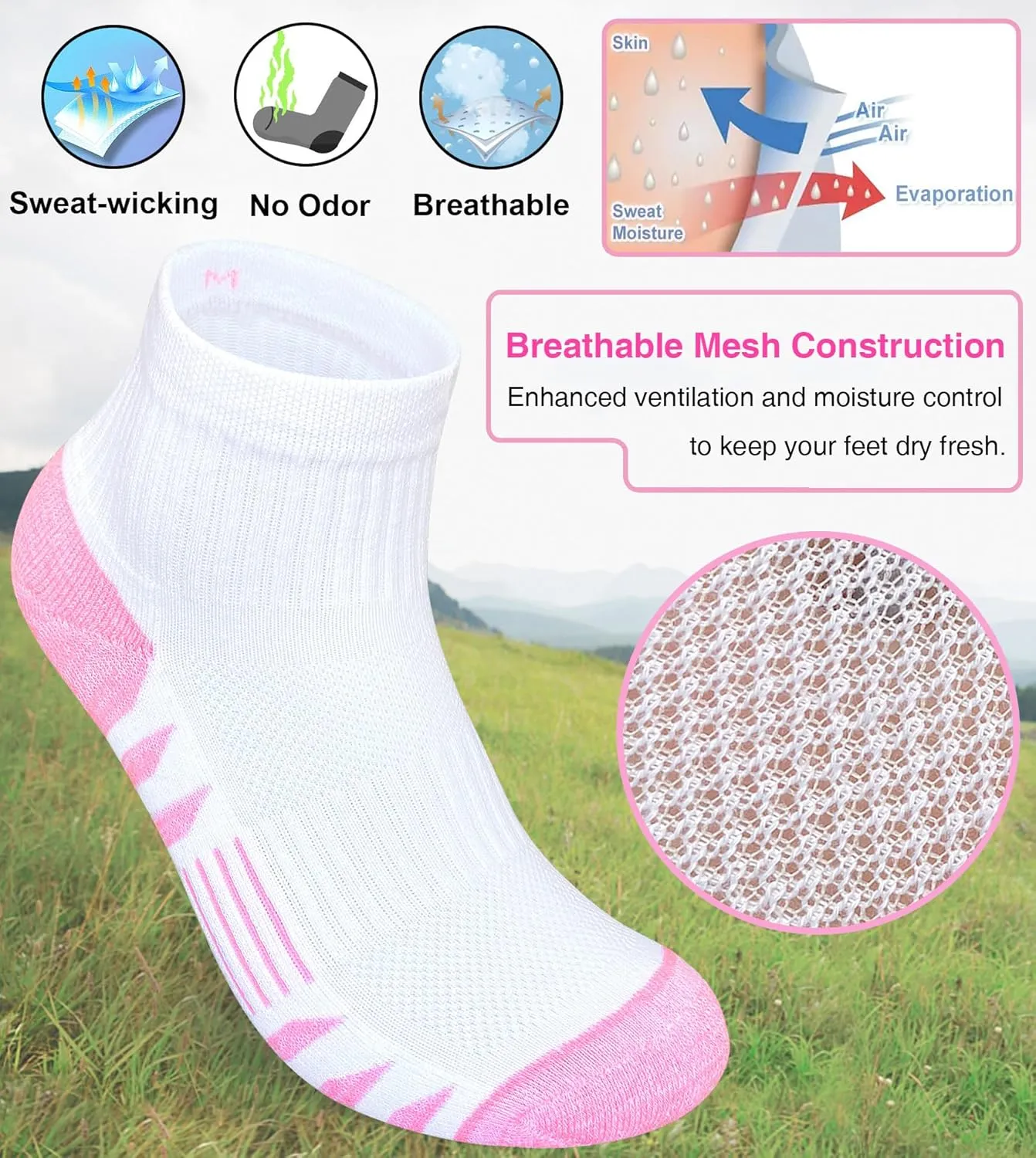 Womens Ankle Anti-blister Thick Cushioned Cotton Wicking Hiking Athletic Running Socks 5 Pairs