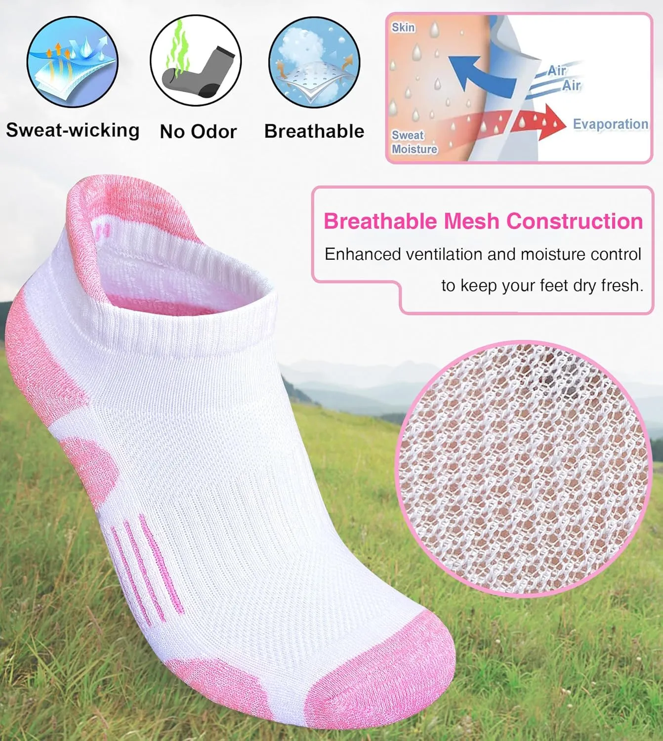 Womens Athletic Running Cotton Socks Thick Cushioned Anti-blister Wicking Ankle Socks 5 Pairs